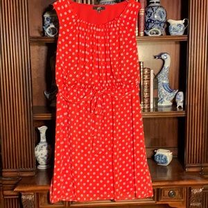 gnw |Women’s PLUS | Bright Papaya| Polka Dot Dress